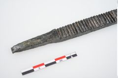 Foto von Bronzeraspel (NHMW-PRAE-025825)